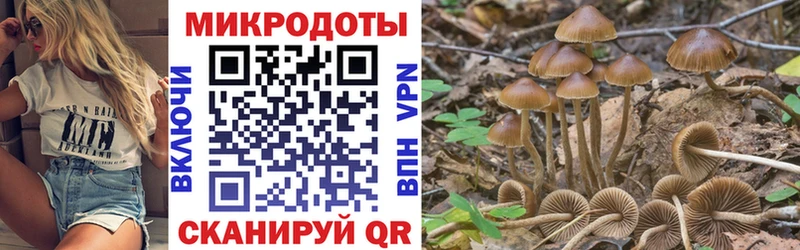 Купить закладки  Ленск  Псилоцибиновые грибы Cubensis 
